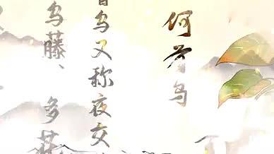 水墨中国风中医养生宣传模板视频的预览图